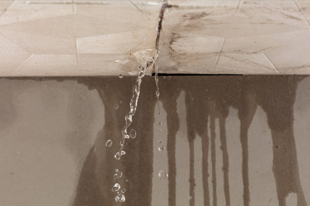 Professional Burst Pipe Cleanup technician working in Mount Carmel, IL